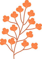 leaf plant illustration
