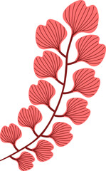 leaf plant illustration