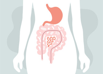 Human microbiome illustration with intestines and bacteria Vector picture. Gastroenterologist. Bifidobacteria, lactobacilli. Lactic acid bacteria.