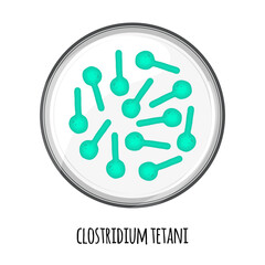 The human microbiome of clostridium tetani in a petri dish. Vector image. Bifidobacteria, lactobacilli. Lactic acid bacteria. Illustration in a flat style.