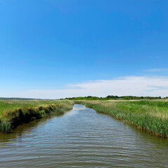 Suffolk marshland view