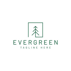 Fototapeta premium modern pine tree logo design