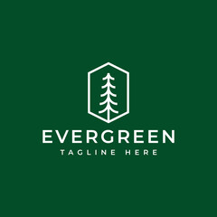 modern pine tree logo design