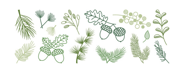 Naklejka na ściany i meble Christmas pine and fir, leaf branch tree, winter holly berry, acorn, evergreen plant, cedar twig vector icon, New Year wood, holiday decoration. Xmas line hand drawn element. Nature illustration