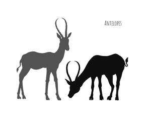Antelope silhouettes. Isolated african animals scene. Black Landscape of wild Africa. Zoo poster. Savannah wildlife