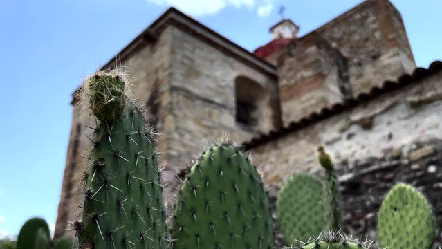 Ancient Ruins Site of Mitla Oaxaca Mexico, Tracking Orbital View of Cactus Plant, Defocused Blurred background of Stone Exterior Architectural Church Religious Monument Facade, Archeological Site