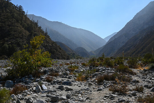 Bonita Falls Trail, Lyle Creek, San Bernardino National Forest