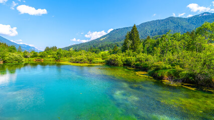 Zelenci - emerald-green lake in the mountains © pyty