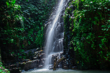 A waterfall in the middle of a forest with a stone wall around it