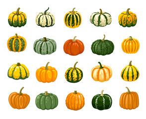Hand drawn pumpkins set. Cartoon squash, decorative gourds collection. Autumn harvest. Halloween, thanksgiving elements. Vector illustration.