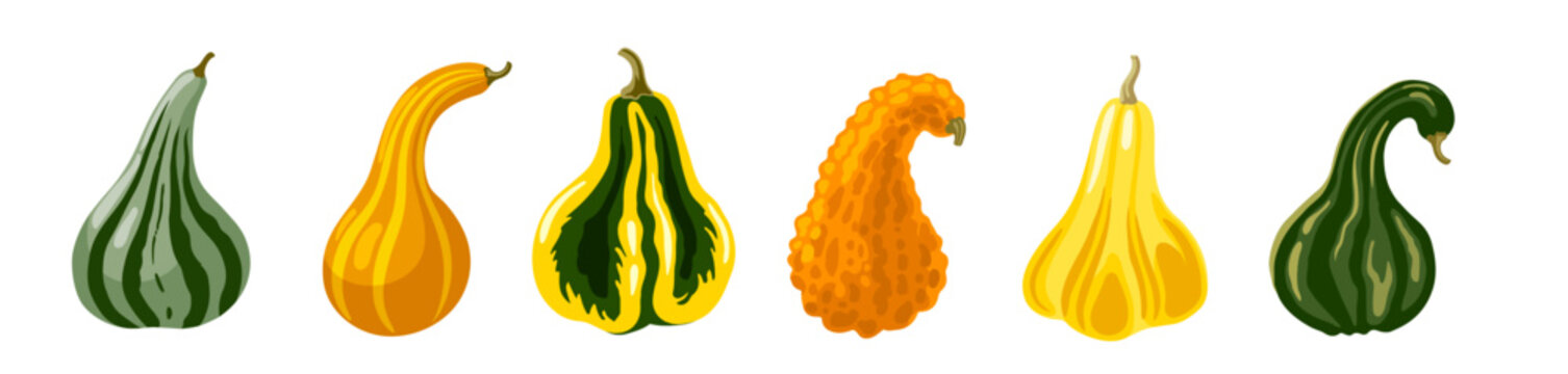 Striped Squash Set. Hand Drawn Cartoon Vector Illustration. Decorative Gourd Collection.