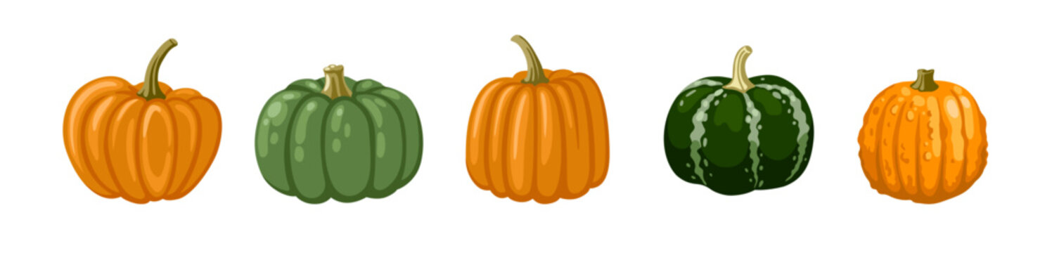 Cute hand drawn pumpkin of various colors. Striped gourd collection. Set of vector cartoon illustration.