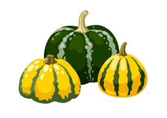 Cute various hand drawn pumpkins and gourd. Autumn composition, horizontal still life. Isolated vector illustration.