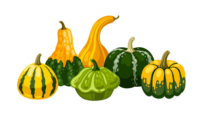 Spotted textured hand drawn decorative gourd, squash and pumpkins. Autumn horizontal still life, decorative composition. Vector cartoon illustration.