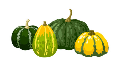 Gourds of different types, shapes and colors. Textured, spotted and striped pumpkins. Hand drawn vector illustration for postcard, invitation, banner.