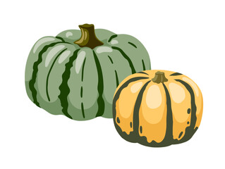 Striped decorative gourd composition. Hand drawn vector illustration of pumpkins.