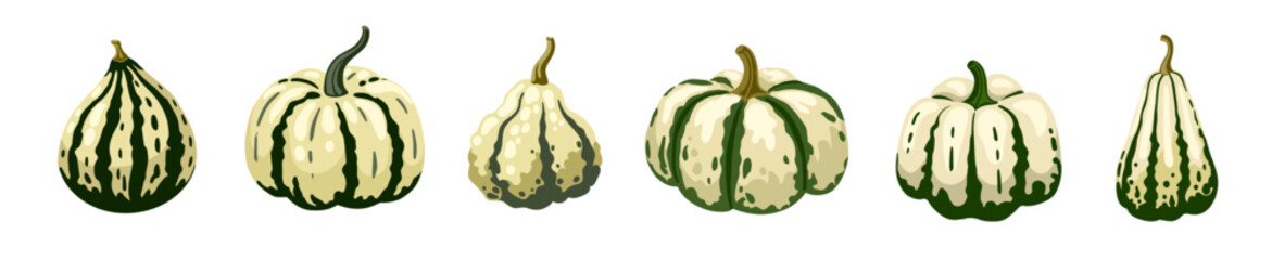White pumpkin set. Decorative striped gourds with various shape. Vector hand drawn illustration.