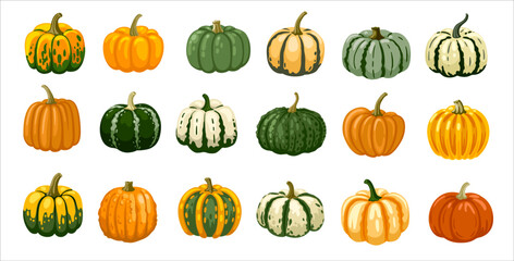 Pumpkin, gourd, squash hand drawn elements. Autumn, fall, thanksgiving and halloween decoration. Cartoon vector illustration set.