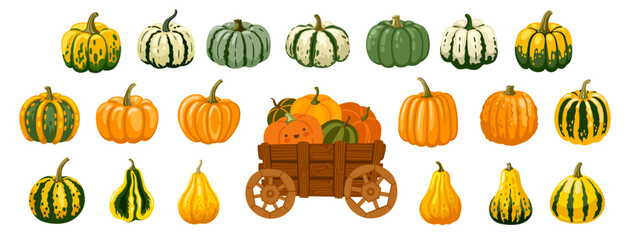 Pumpkin, squash, gourd and pumpkin cart collection. Decoration for farmers market, halloween and thanksgiving. Set of vector hand drawn illustration.