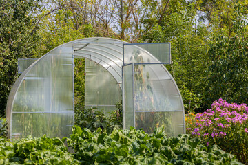 a greenhouse with an open door stands in the garden
