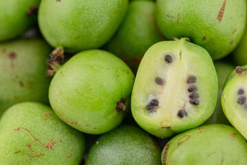 small mini kiwi fruit - Actinidia arguta