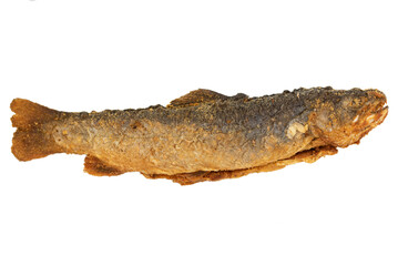 the fresh smoked trout fish