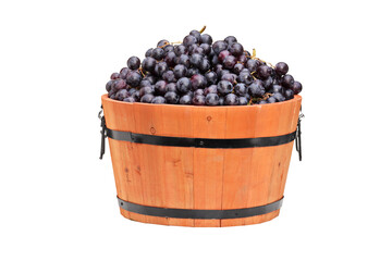 Wine grape in a wooden barrel