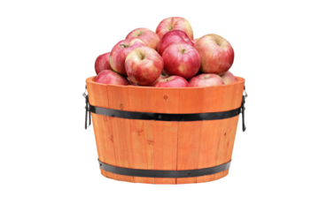 Red apples in a wooden barrel