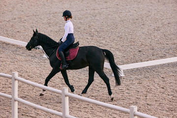 Female rider on horseback riding trot around the sandy arena in countryside, in summer day,...
