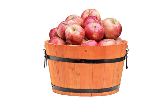 Red apples in a wooden barrel