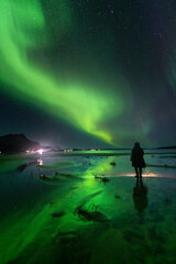 silhouette of a person in the water and Aurora Borealis