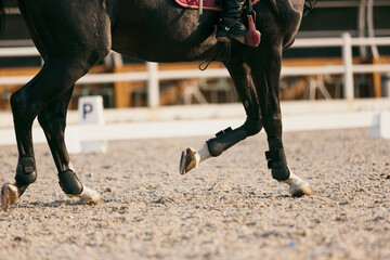 Feet sports horse running at sand riding arena, outdoors. Equestrian sport. Dressage of horses in...