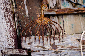 Un vecchio forcone arrugginito per la pesca delle anguille adagiato sul fondo di una barca di legno...