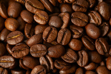 Coffee bean close up. Coffee bean texture.