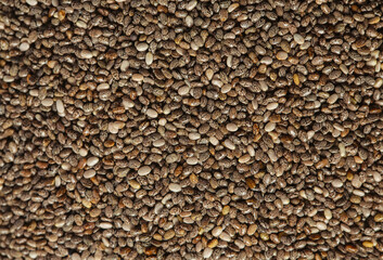Chia seeds close up. Superfood concept. Isolated on white background.
