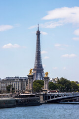Paris view of the river toward the eiffel tower portrait 