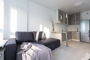 Modern minimalistic dark gray loft style studio apartment interior design. kitchen, sitting area, workplace