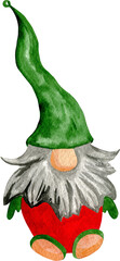 Cute watercolor bearded gnome in a green hat