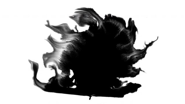 Splash Of Black Paint