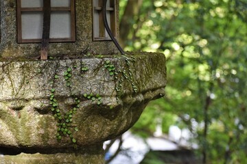 石山寺、石灯籠、苔