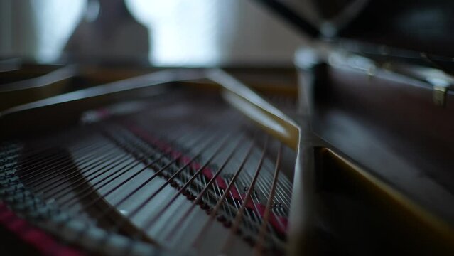 Close-up tracking shot from open lid of music instrument to unrecognizable female pianist playing gentle classical music. Closeup of piano mechanism hammers striking strings when performer played.