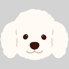 Simple and adorable white colored Poodle dog illustration front head flat colored