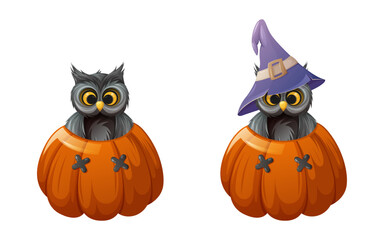Cute owl with and without sorcery hat is inside a pumpkin with funny face. Cartoon vector illustration for halloween.