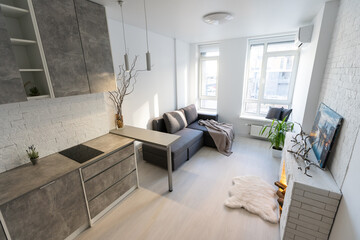 Modern minimalistic dark gray loft style studio apartment interior design. kitchen, sitting area.