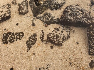 basalt in the sand