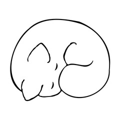 Sleepy cat doodle isolated on white background. Hand drawn ink sketch. Pet vector illustration. Domestic cute curled up kitten. Monochrome outline clip art. Simple animal icon
