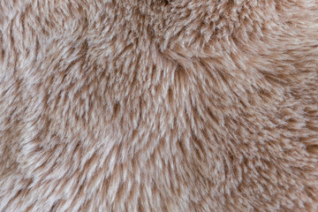 Texture of fur close-up of exotic color.