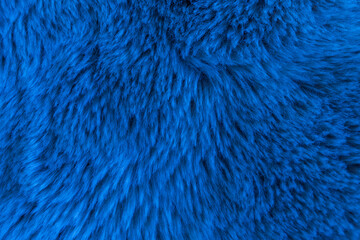 Texture of fur close-up of exotic color.