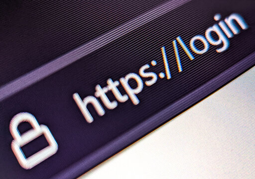 Closeup view of an internet web browser with secure URL displayed on a pixelated screen