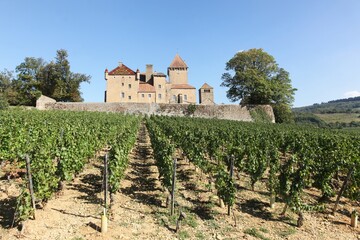 Fototapeta na wymiar Castle of Pierreclos in Burgundy, France 